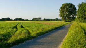 Read more about the article Green Initiative